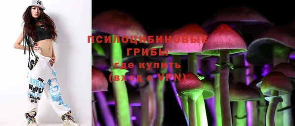 сатива Ростов