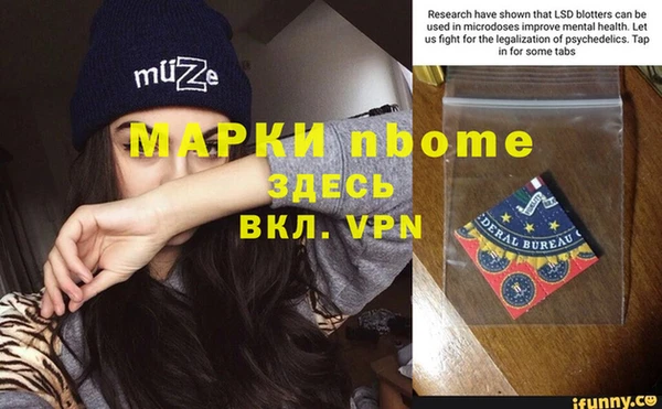 мдпв Рославль