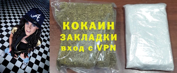 сатива Ростов