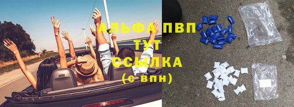 сатива Ростов