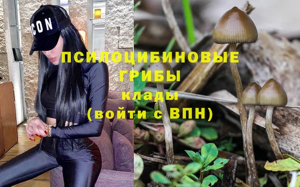 эйфоретик Армянск